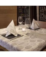 tovaglie-monouso-tnt-spunlace-micro-convivio-100x100