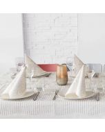 Nappe-Jetable-120x120-en-Spunlace-Packservice-Micro-Cristal-Argent