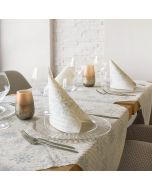 Nappe-Jetable-100x100-en-Spunlace-Packservice-Micro-Cristal-Argent
