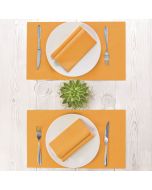 sets-de-table-jetables-airlaid-plus-color-30x40-couleur-unie