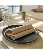 einweg-serviette-airlaid-packservice-plus-natural-40x40-kompostierbar