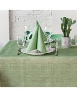 tovaglia-monouso-tnt-airlaid-140x140-plus-flem-packservice-verde-p14-tntgiusky