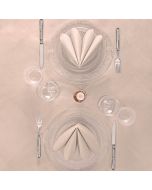 tovaglia-monouso-tnt-spunlace-140x140-micro-gaia-packservice-panna-mc14-tntgiusky-1