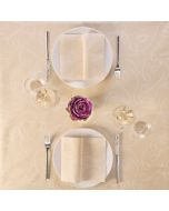 tovaglie-monouso-tnt-airlaid-120x120-plus-grace-packservice-avorio-p12-tntgiusky