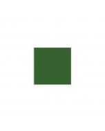 tovaglioli-di-carta-due-veli-monouso-33x33-airwave-color-tissue-packservice-aw332-verde-tntgiusky