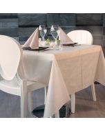 tovaglia-monouso-tnt-160x160-airspun-color-packservice-bianco-pt160-tntgiusky-1