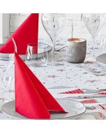 nappe-jetable-140x240-intisse-airlaid-packservice-plus-gnom-10-pce