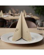 einweg-servietten-38x38-zweilagige-point-to-point-okay-eco-friendly-1440-st