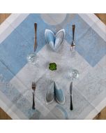 tovaglie-monouso-tnt-airlaid-new-moon-100x100-roial-per-ristoranti-TVNM2495-topazio-10