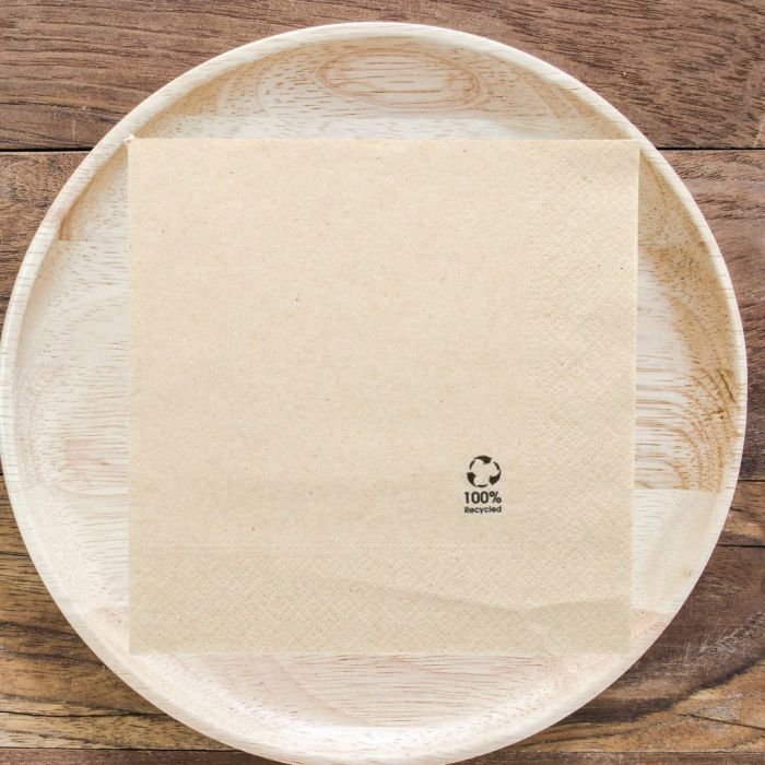 nonwoven-disposable-napkin-33x33-two-sheet-paper-okay-eco-friendly-2700-pcs