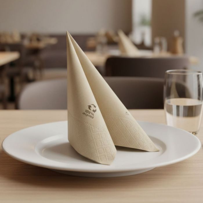 nonwoven-disposable-napkin-40x40-two-sheet-paper-okay-eco-friendly-2400-pcs