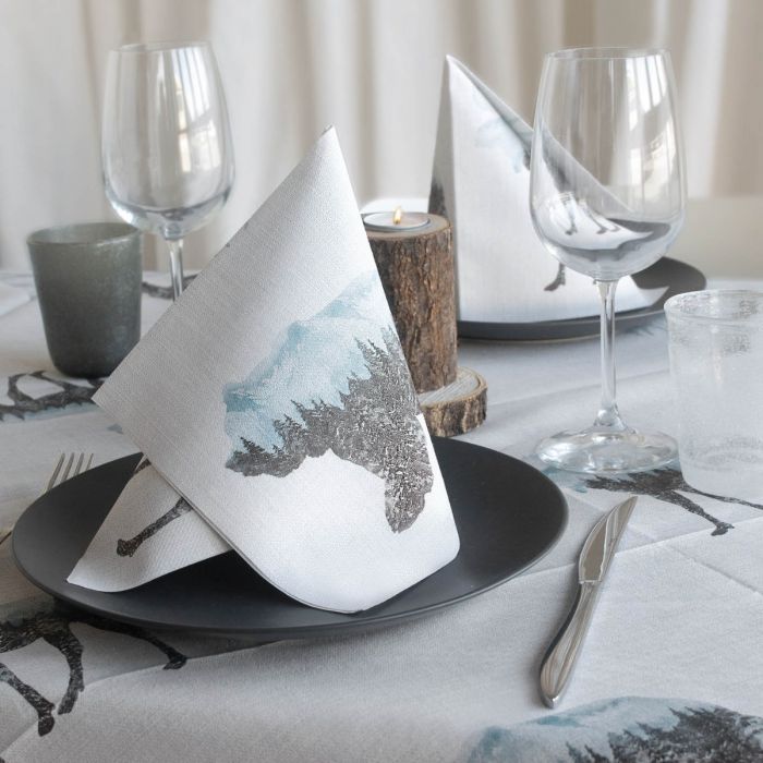 Serviette-Jetable-40x40-en-Airlaid-Packservice-Plus-Nordic-1