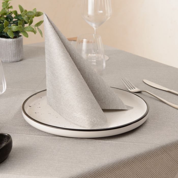 tovagliolo-tnt-40x40-monouso-spunlace-premium-okay-eco-bambook-spago-600-pz-stone