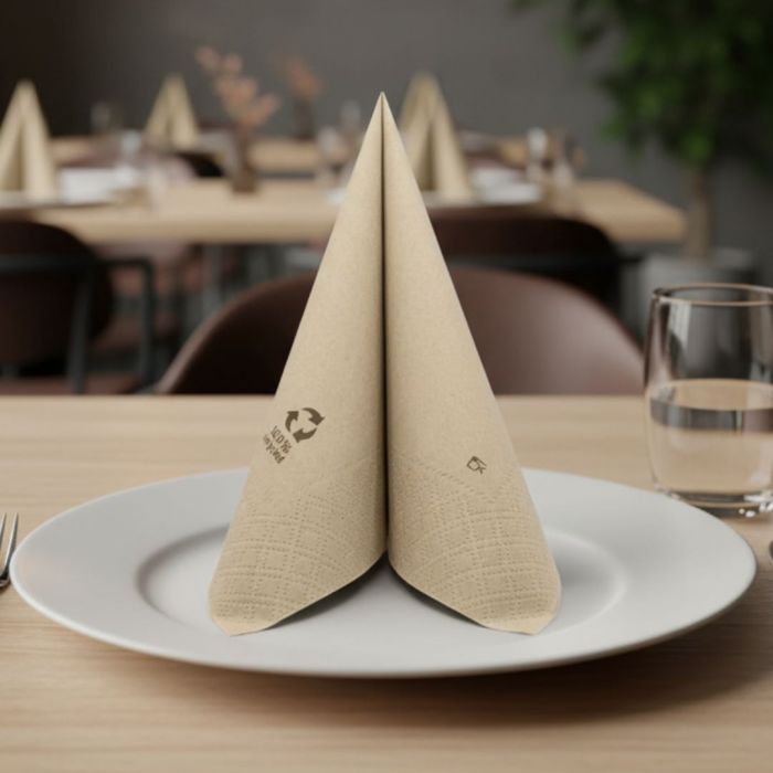 nonwoven-disposable-napkin-38x38-two-sheet-paper-point-to-point-okay-eco-friendly-1440-pcs