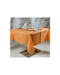 Nonwoven Disposable Tablecloth 150x150 Roial Fiesta 