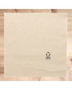 serviette-jetable-25x25-papier-deux-plis-okay-eco-friendly-3600-pce