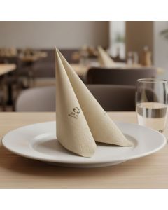 einweg-servietten-40x40-zweilagige-okay-eco-friendly-2400-st