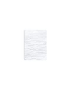 two-sheet-paper-disposable-napkin-40x30-onda-white-packservice-aw4030t-0-tntgiusky