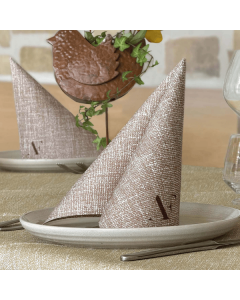 Tovagliolo-Personalizzato-TnT-40x40-Monouso-Airlaid-Mono-Rudy-4800-pz-terra