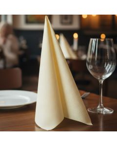 serviette-jetable-38x38-papier-deux-plis-okay-point-to-point-coleur-unie-1440-pcs-champagne
