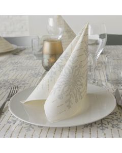 Einweg-Servietten-40x40-Spunlace-Packservice-Micro-Cristal-Silber