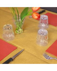 tovaglia-di-carta-paglia-monouso-100x100-packservice-pk10p-tntgiusky-usa-e-getta