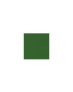 tovaglioli-di-carta-due-veli-monouso-33x33-airwave-color-tissue-packservice-aw332-verde-tntgiusky