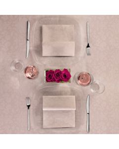 tovaglia-monouso-tnt-airlaid-coprimacchia-100x100-victoria-packservice-sabbia-p10-tntgiusky