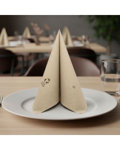 nonwoven-disposable-napkin-38x38-two-sheet-paper-point-to-point-okay-eco-friendly-1440-pcs