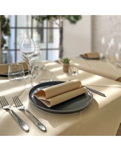 einweg-tischdecke-airlaid-packservice-plus-natural-100x100-kompostierbar