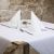 tovaglioli-tnt-monouso-textile-bianco-TOUN2110-airlaid-tessuto-non-tessuto-40x40-TOUN2110-3